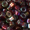 10g Miyuki 11/0 (1.6mm) Delica Perlen DB1694