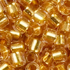 10g Miyuki 11/0 (1.6mm) Delica Perlen DB2521 (mit echtem Gold Einzug)