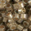 10g Miyuki 11/0 (1.6mm) Delica Perlen DB2396