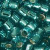 10g Miyuki 11/0 (1.6mm) Delica Perlen DB1208