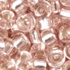 10g. Miyuki Rocailles Perlen 11/0 (~2mm) Farbe 23