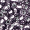 10g. Miyuki Rocailles Perlen 15/0 (~1,5mm) Farbe 24