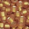 10g. Miyuki Rocailles Perlen 11/0 (2mm) Farbe 2422F