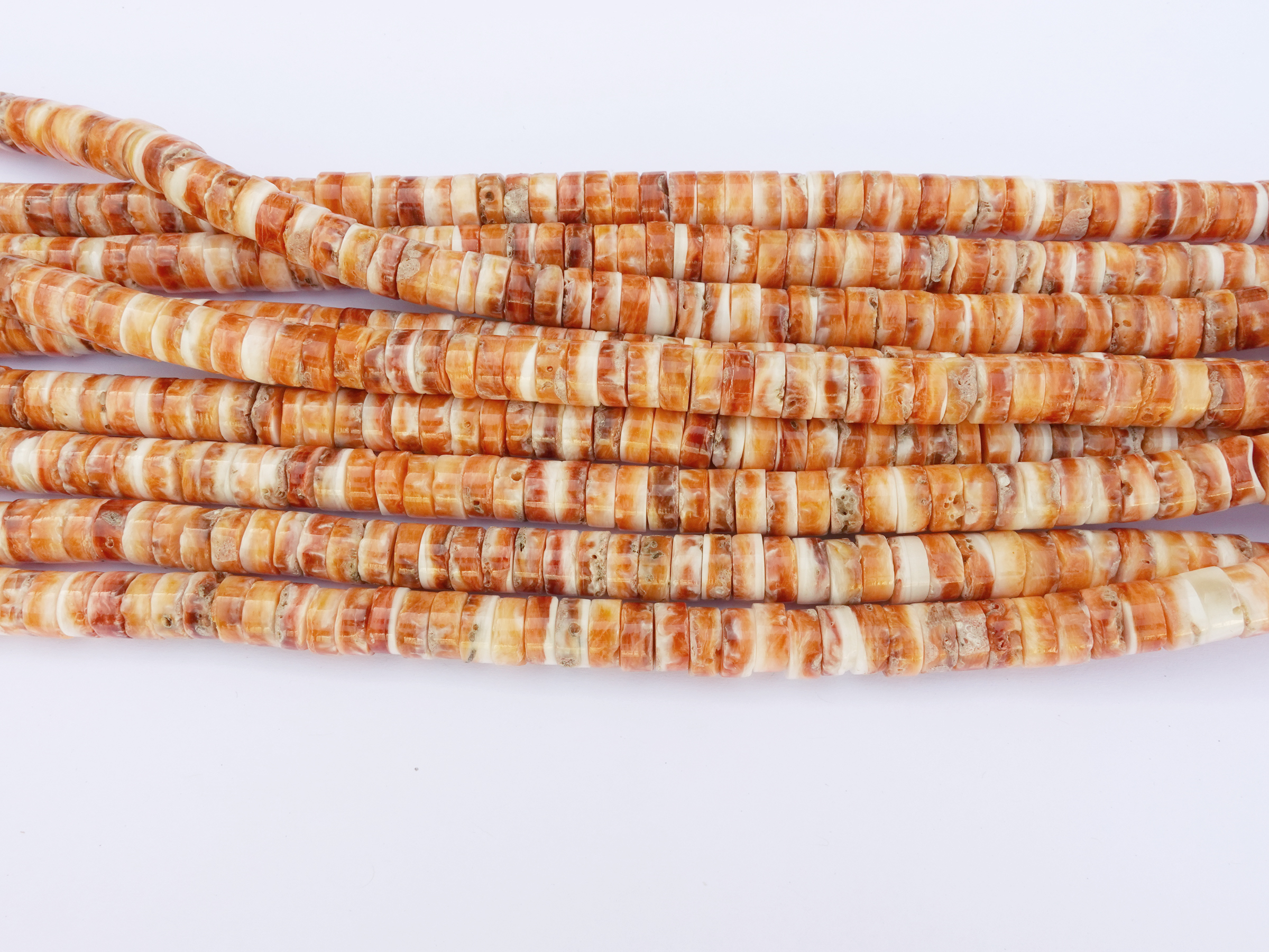 scheibenförmige HiShi Stachelauster Muschelperlen zum Schmuc