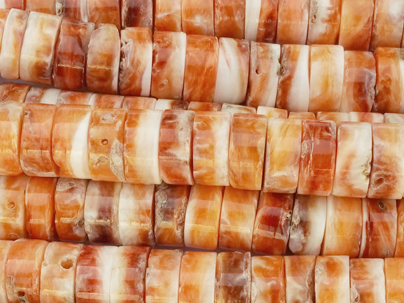 scheibenförmige HiShi Stachelauster Muschelperlen zum Schmuc