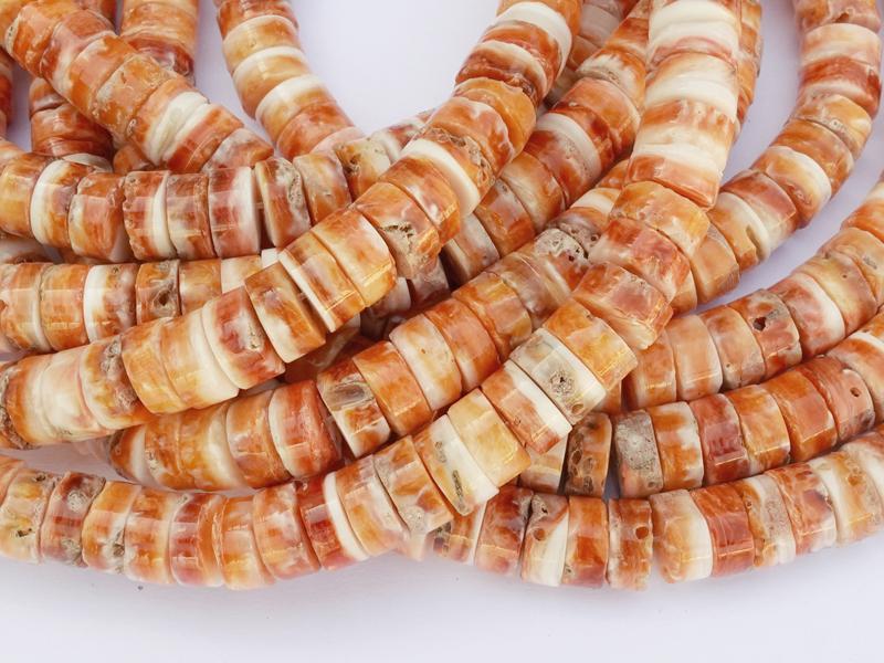 scheibenförmige HiShi Stachelauster Muschelperlen zum Schmuc