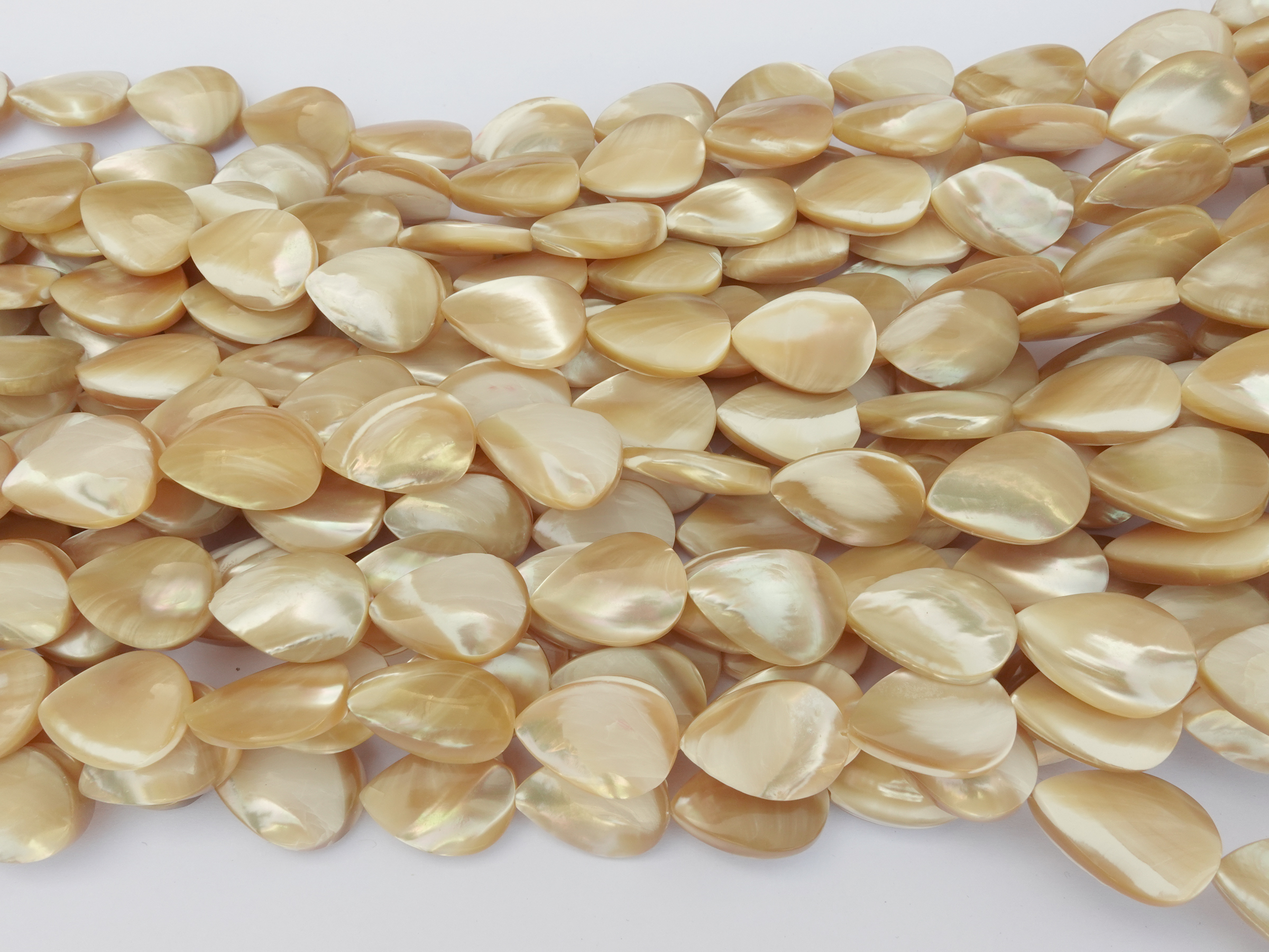 leicht gewölbte Muscheltropfen 18x13mm zum Schmuckmachen