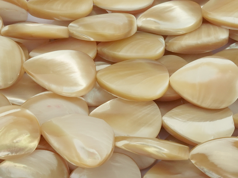 leicht gewölbte Muscheltropfen 18x13mm zum Schmuckmachen - N