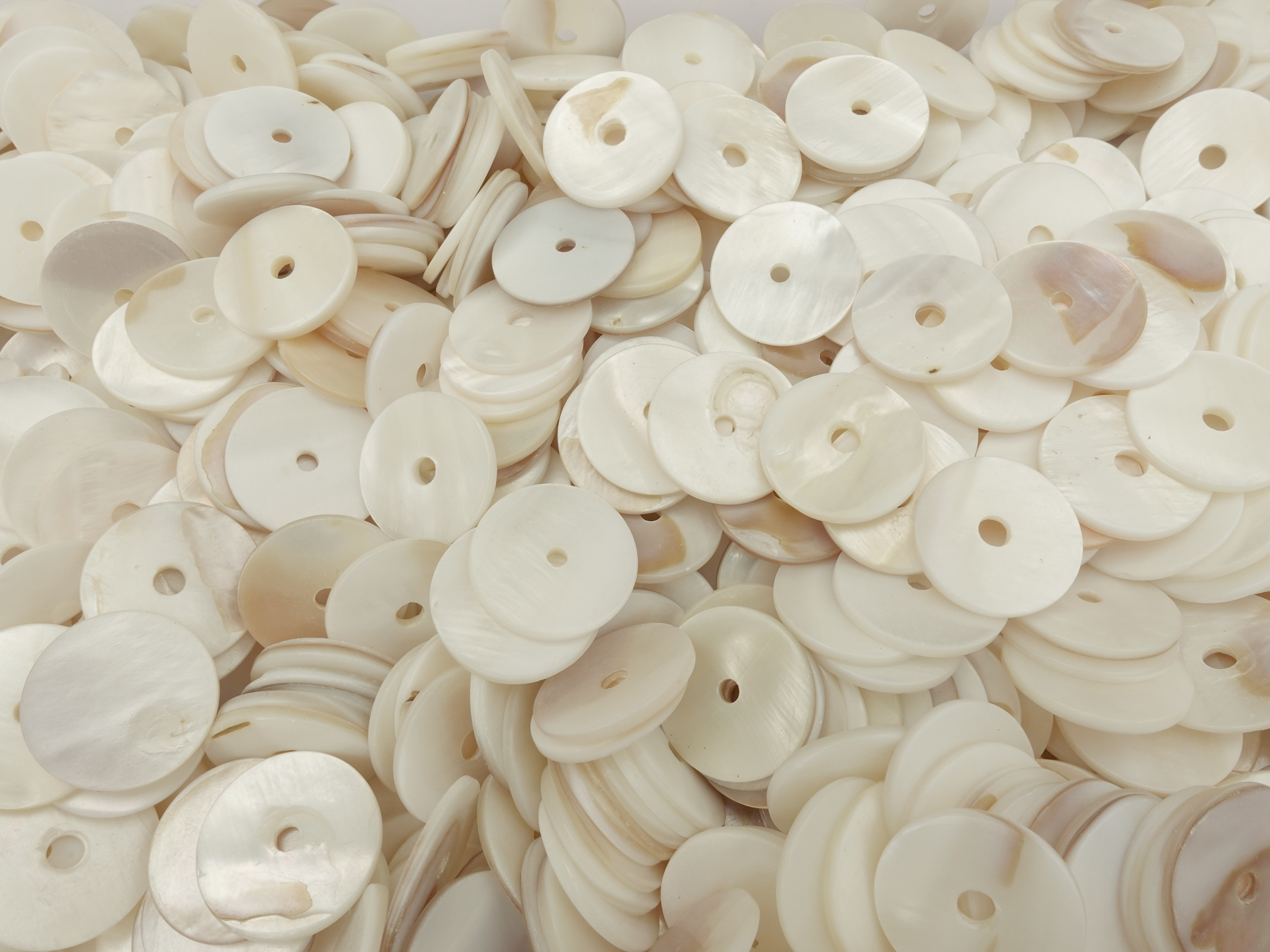 flache Muschelscheibe mit einem Loch in der Mitte 18mm