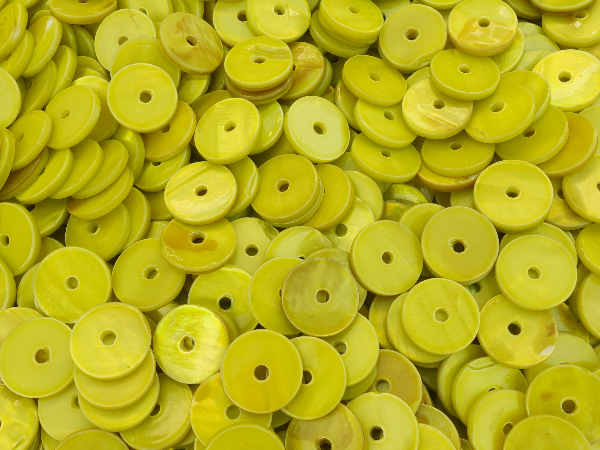 flache, grüne Muschelscheibe 12mm mit einem Loch in der Mitt