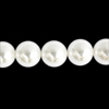 1 Strang (~64 Stk.) Muschelkernperlen rund ~6mm - weiß
