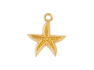 goldener Schmuckanhänger, Charm - Seestern