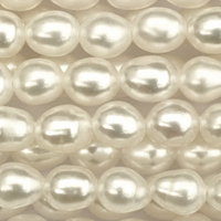 1 Strang (~38cm) echter Zuchtperlen, ~3x4mm, A-Qualität